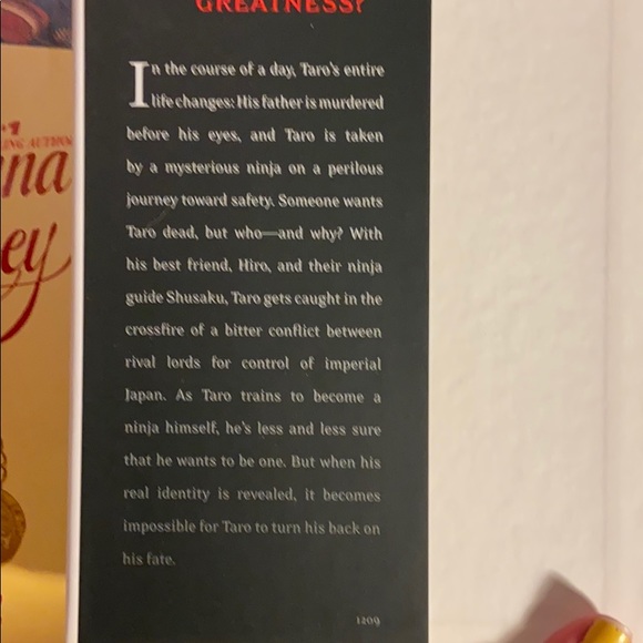 Blood ninja book - Picture 4 of 11